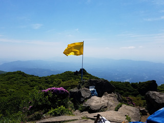 20170604_095854.jpg