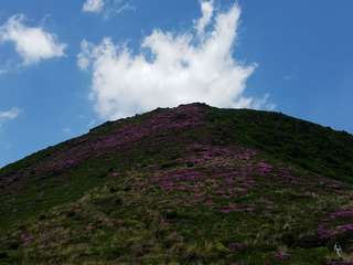 20170604_114825.jpg