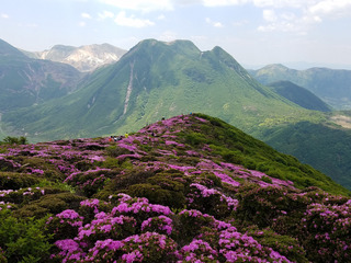20170604_122558.jpg