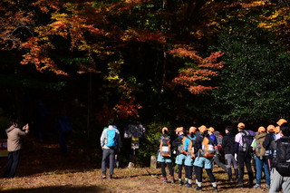 DSC_8441.jpg