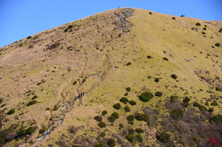 DSC_8453.jpg