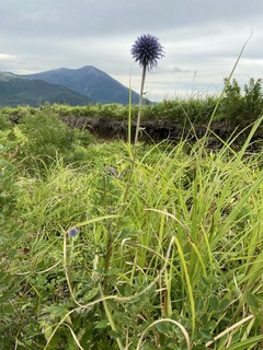 IMG_1067のコピー.jpg