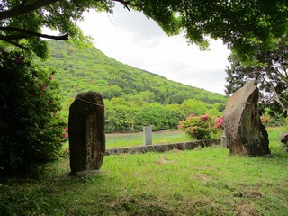 IMG_2474.jpg