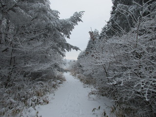 IMG_2504.JPG