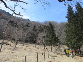 IMG_2729.JPG