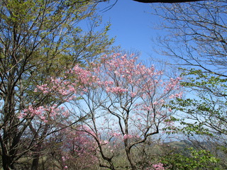 IMG_2845.JPG