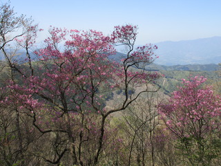 IMG_2861.JPG