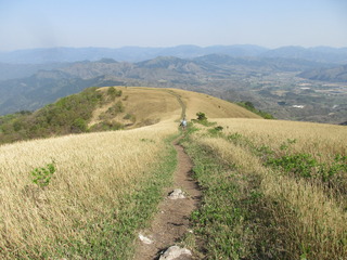 IMG_2992.JPG
