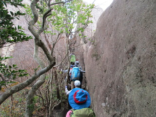 IMG_4157.JPG