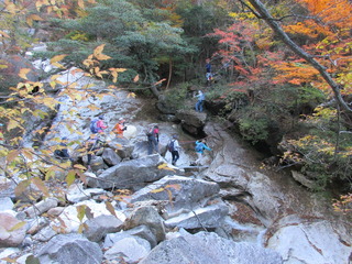 IMG_4180.JPG