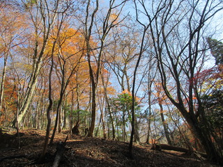 IMG_4327.JPG