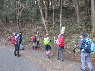 IMG_4652.JPG
