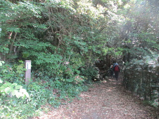 IMG_5175.JPG
