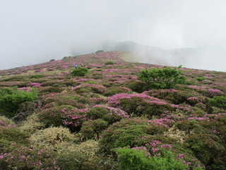 IMG_5221.JPG