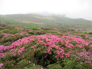 IMG_5223.JPG