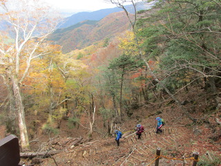 IMG_5989.JPG