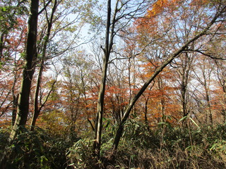 IMG_6010.JPG