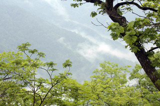 _MG_5911.JPG